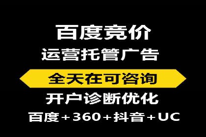 网络推广中的竞价广告：成功案例解析